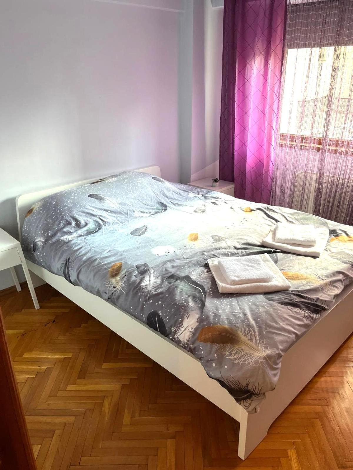 Romana 100 Sqm Deluxe Apartament ブカレスト エクステリア 写真